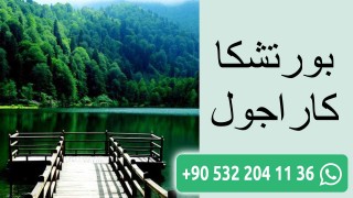 بورتشكا كاراجول